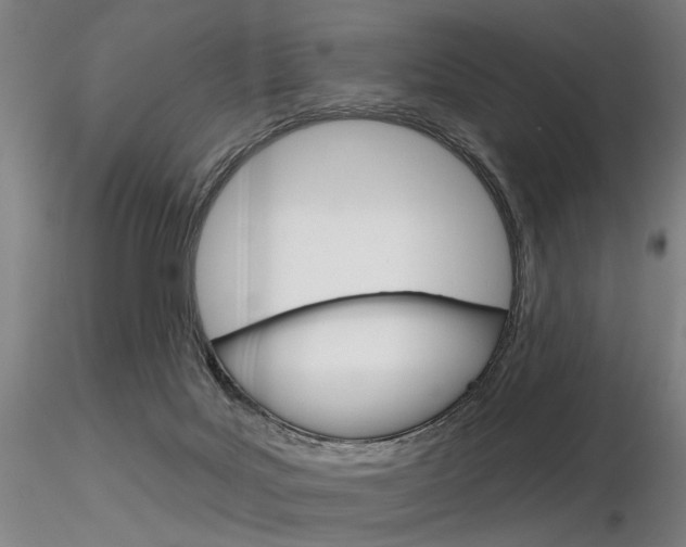 X0000116850027200912220951