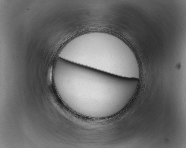 X0000116850028200912220951