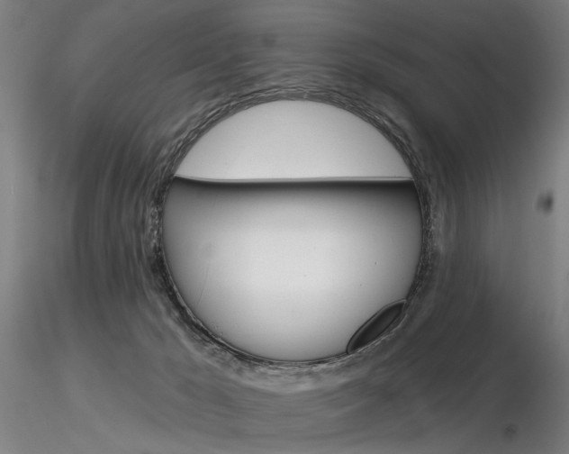 X0000116850029200912220951