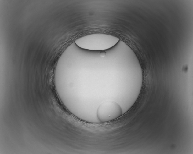 X0000116850030200912220951