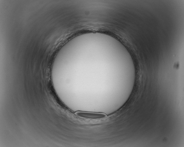 X0000116850031200912220951