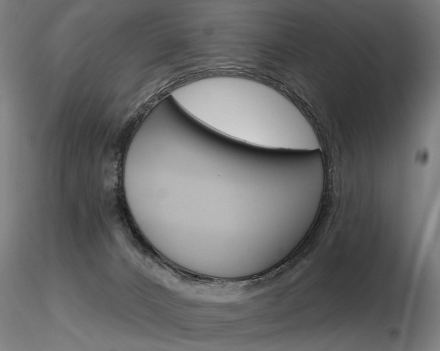 X0000116850032200912220951