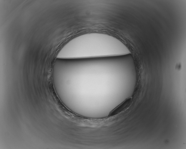X0000116850033200912220951
