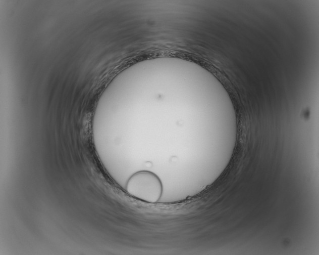 X0000116850034200912220951