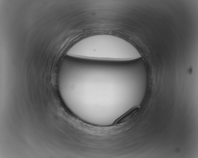 X0000116850035200912220951