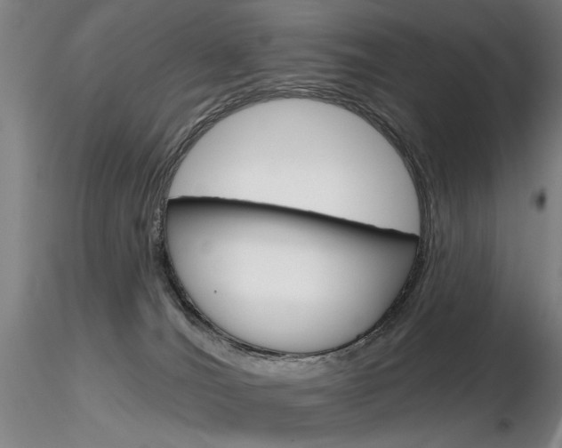 X0000116850036200912220951