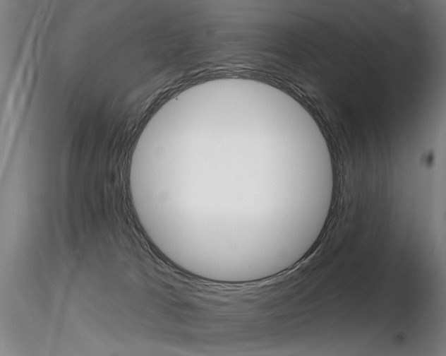 X0000116850037200912220951