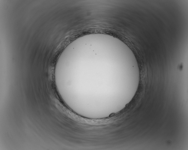 X0000116850038200912220951