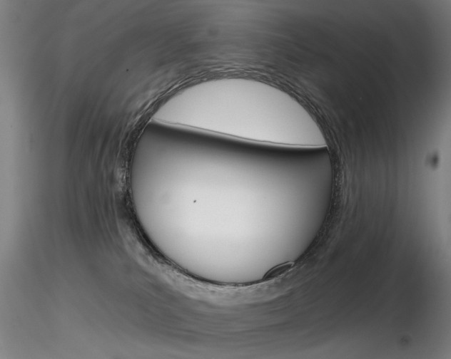 X0000116850039200912220951