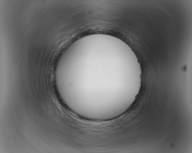 X0000116850040200912220951