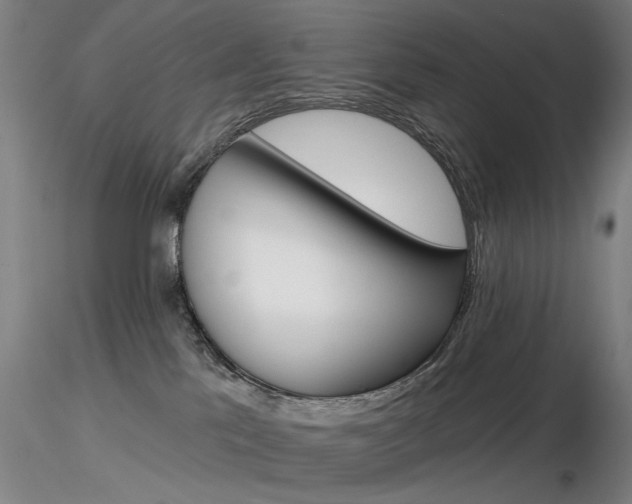 X0000116850041200912220951