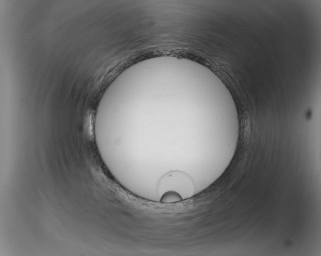 X0000116850042200912220951
