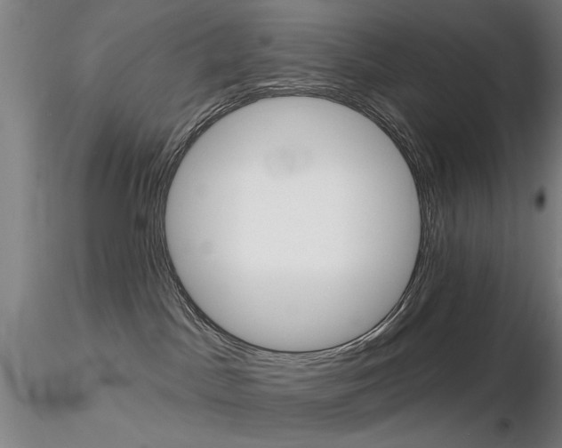 X0000116850045200912220951