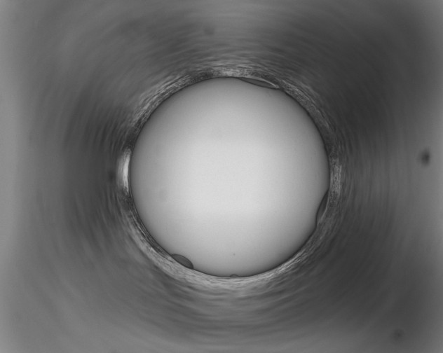 X0000116850047200912220951