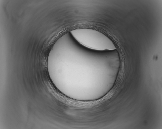 X0000116850048200912220951