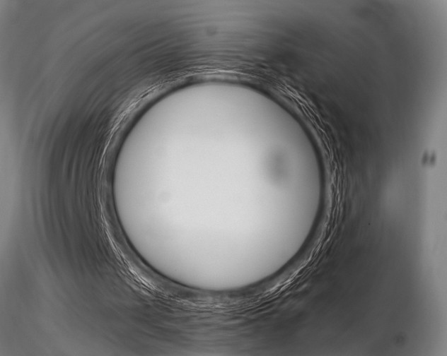 X0000116850049200912220950
