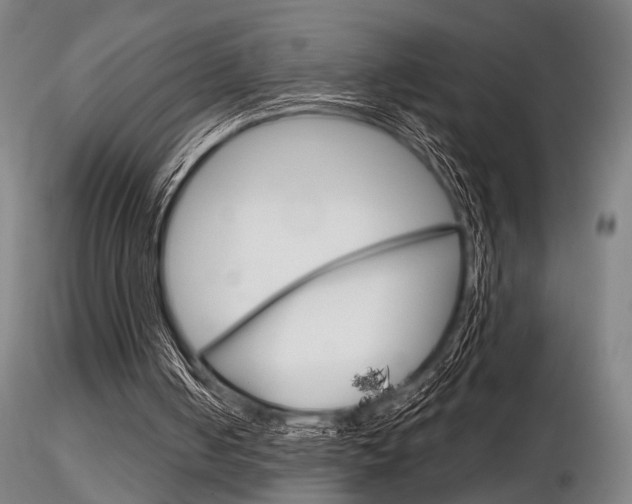 X0000116850050200912220950