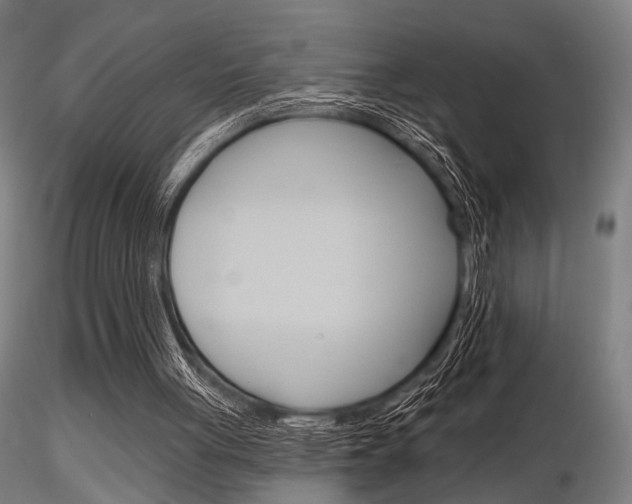 X0000116850051200912220950