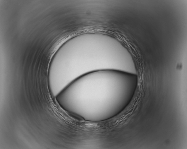X0000116850052200912220950