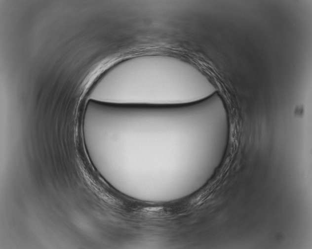 X0000116850054200912220950