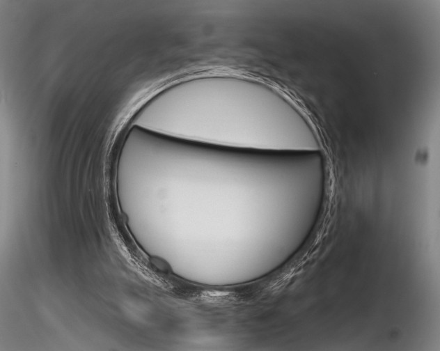 X0000116850055200912220950