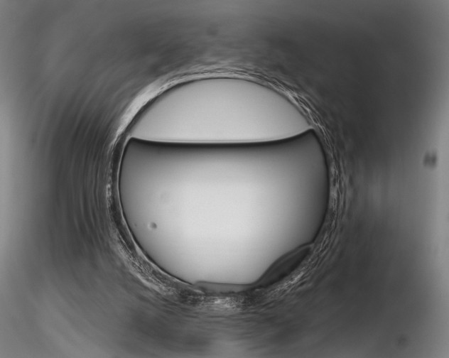 X0000116850056200912220950