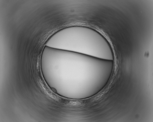 X0000116850057200912220950