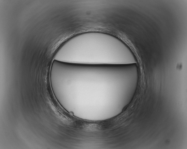 X0000116850058200912220950