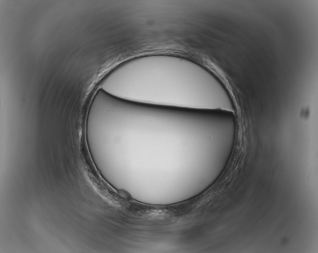 X0000116850059200912220950