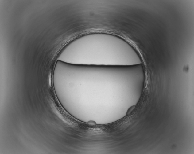 X0000116850061200912220950