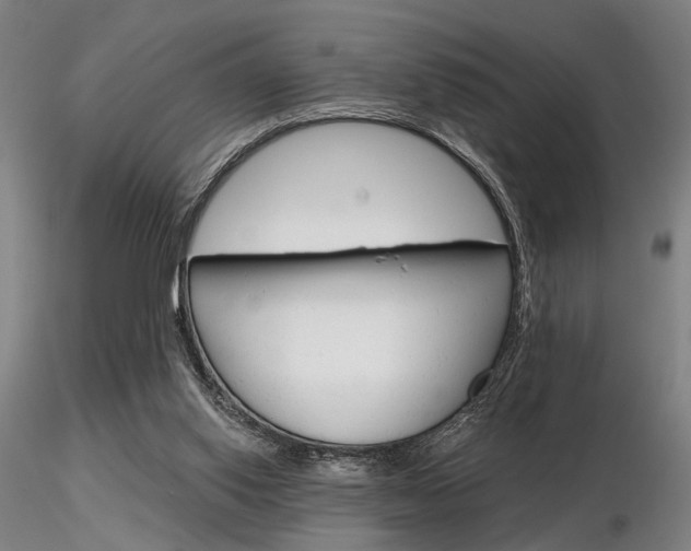 X0000116850062200912220950