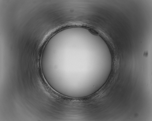 X0000116850064200912220950