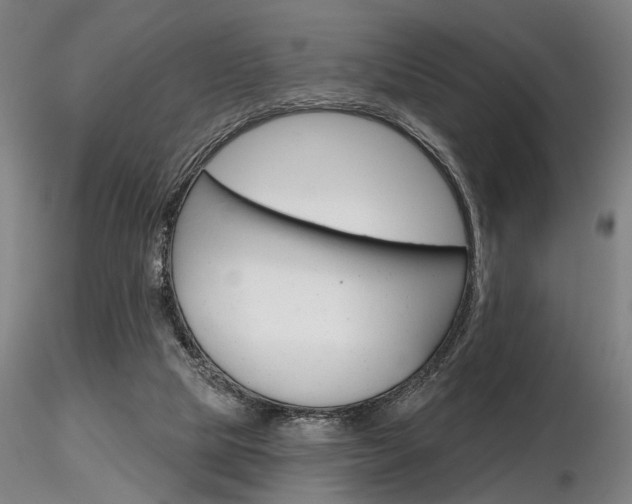X0000116850065200912220950