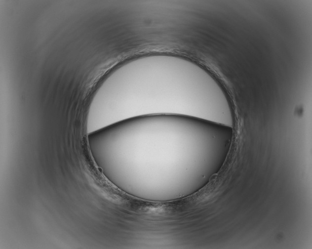 X0000116850068200912220950