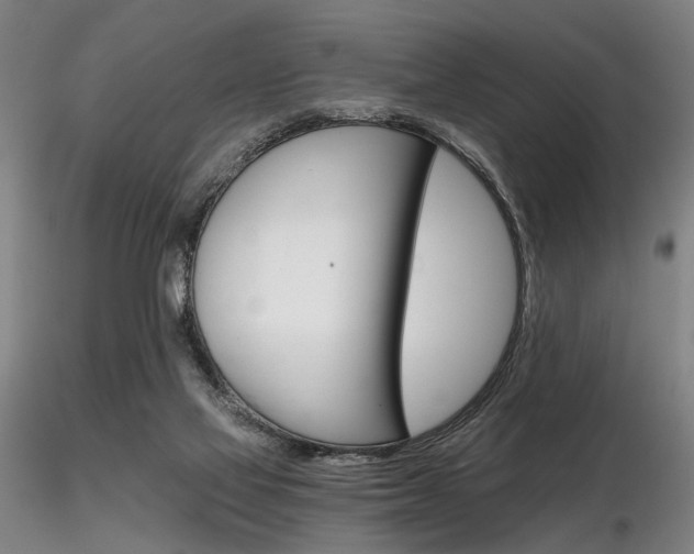 X0000116850069200912220950