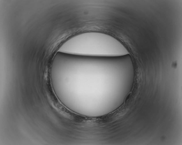 X0000116850072200912220950
