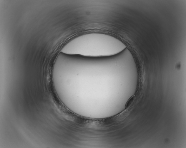 X0000116850074200912220950