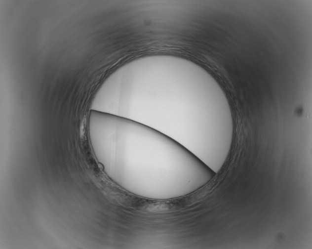 X0000116850075200912220950