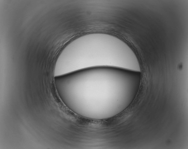 X0000116850076200912220950