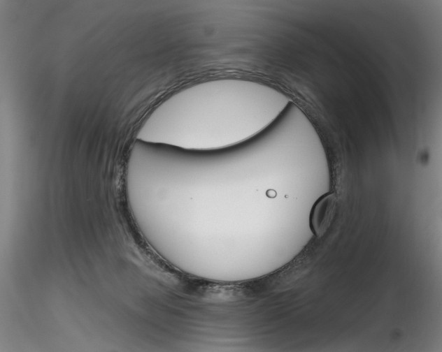 X0000116850077200912220950