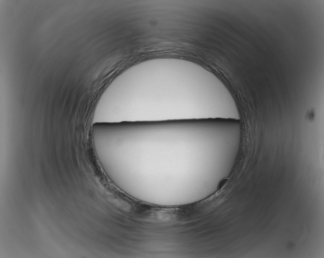 X0000116850078200912220950