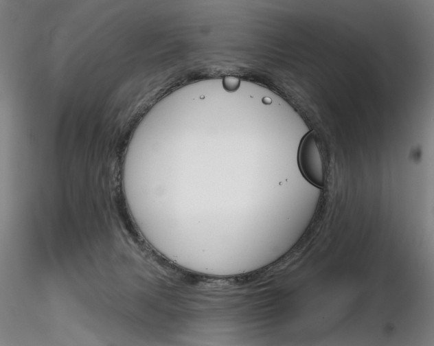 X0000116850079200912220950