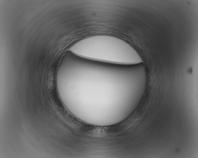 X0000116850080200912220950