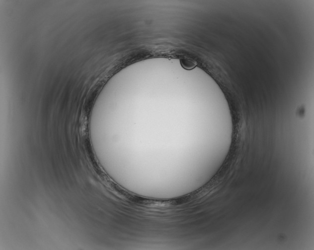 X0000116850081200912220951