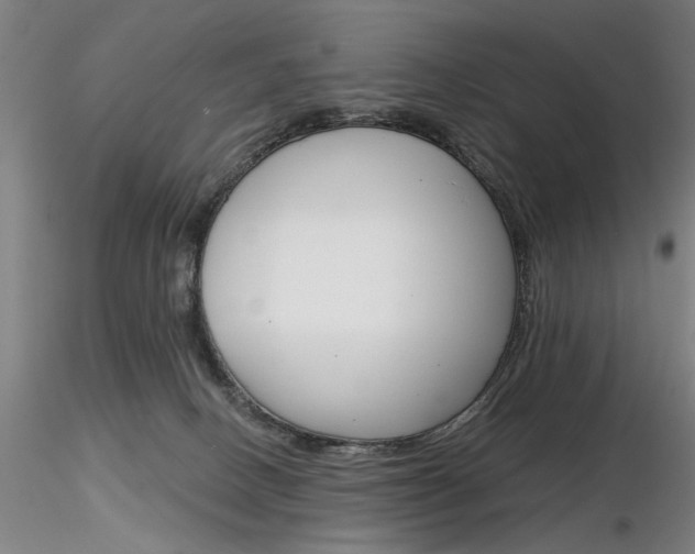 X0000116850082200912220951