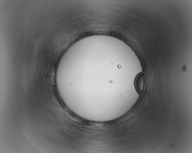 X0000116850083200912220951