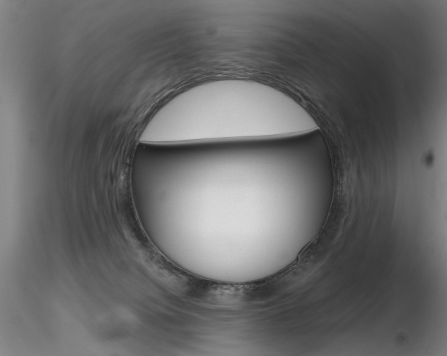 X0000116850084200912220951