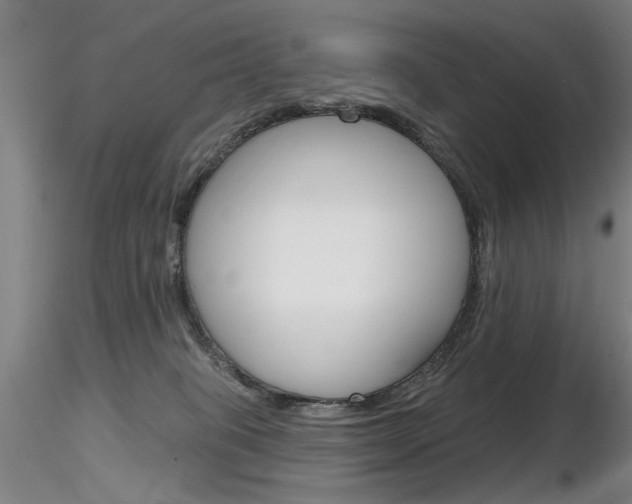 X0000116850085200912220951