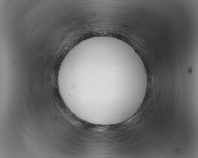 X0000116850086200912220951