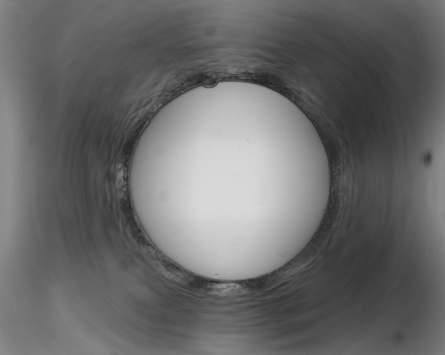 X0000116850087200912220951